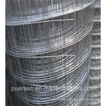 Low Price Hengshui Factory Welded Wire Mesh/ Galvanized Welded Wire Mesh/ PVC Coated Wire Mesh Fence